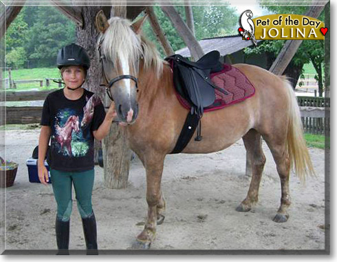 Jolina, the Pet of the Day