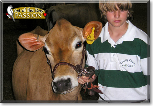 Passion, the Pet of the Day Passion, the Pet of the Day