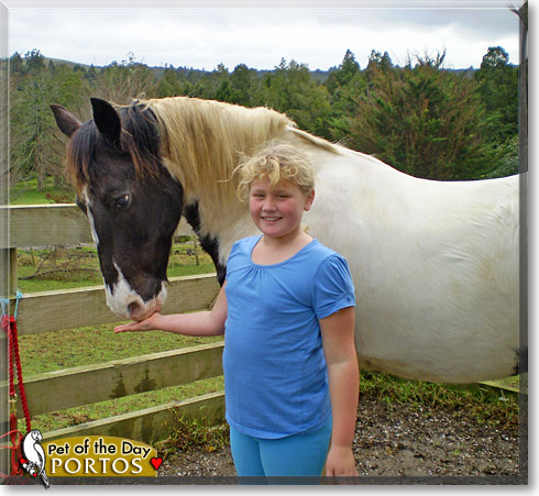 Portos, the Pet of the Day Portos, the Pet of the Day
