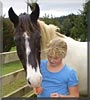 Portos the Clydesdale mix