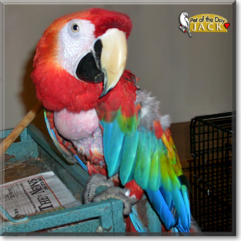 Jack and Lizzie, the Pet of the Day Jack and Lizzie, the Pet of the Day