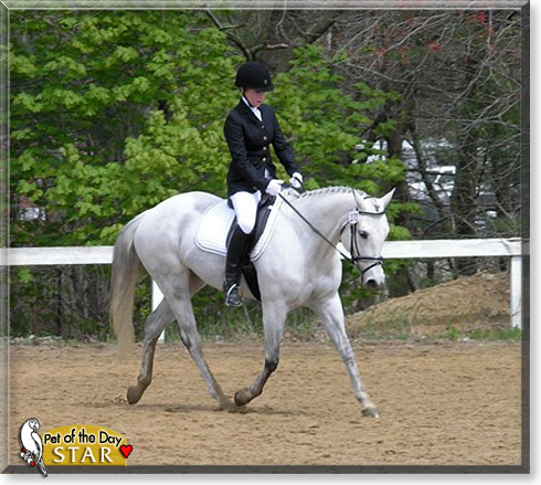Star, the Pet of the Day Star, the Pet of the Day