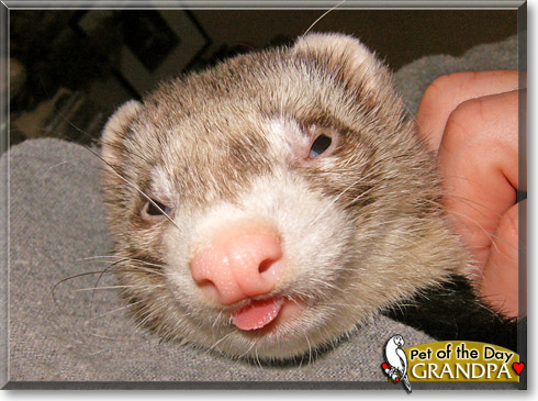 Grandpa, the Pet of the Day Grandpa, the Pet of the Day