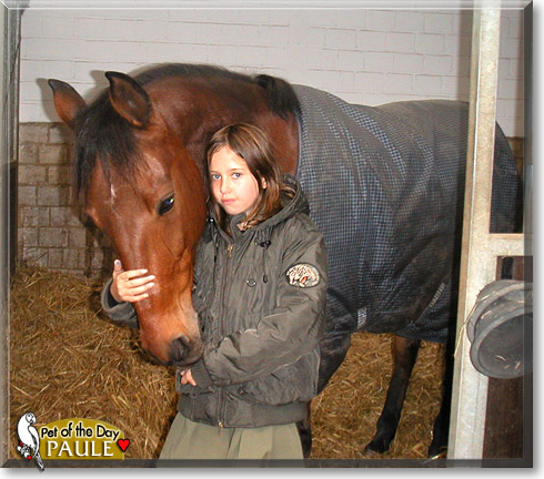 Paule, the Pet of the Day