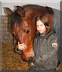 Paule the Horse