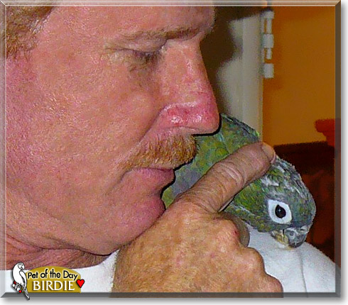 Birdie, the Pet of the Day