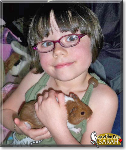 Sarah, the Pet of the Day Sarah, the Pet of the Day