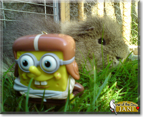 Jani, the Pet of the Day Jani, the Pet of the Day