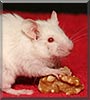 Alaskar the Mouse