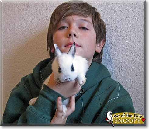 Snoopy, the Pet of the Day