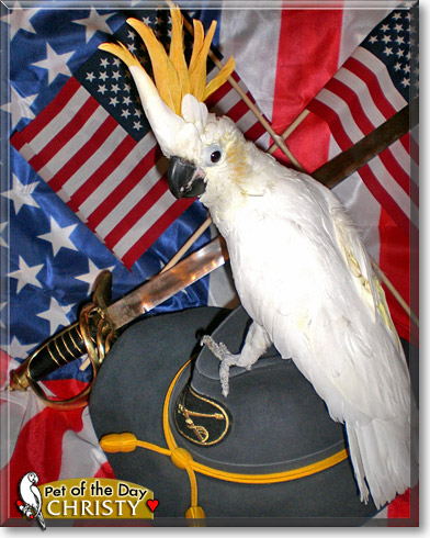 Christine Dijon, the Pet of the Day Christine Dijon, the Pet of the Day