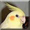 Pet of the Day