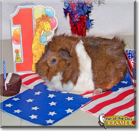 Kramer, the Pet of the Day Kramer, the Pet of the Day