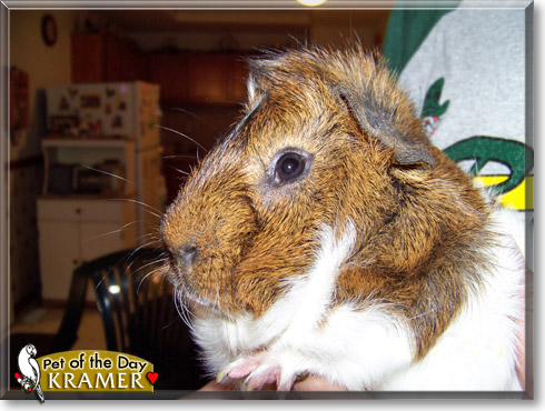 Kramer, the Pet of the Day Kramer, the Pet of the Day