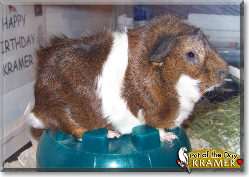 Kramer, the Pet of the Day Kramer, the Pet of the Day