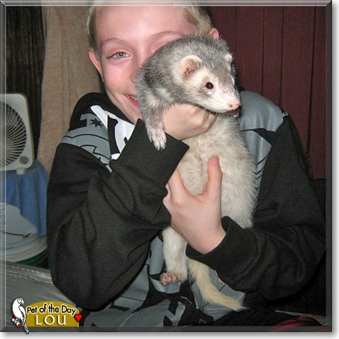 Lou, the Pet of the Day Lou, the Pet of the Day