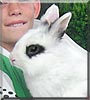 Ernie the Rabbit
