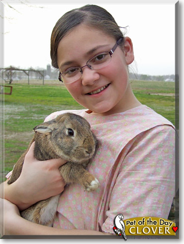 Clover, the Pet of the Day