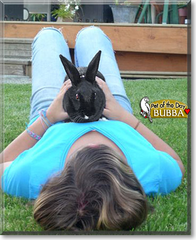 Bubba, the Pet of the Day Bubba, the Pet of the Day