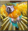 Angel the Blue and Gold Macaw