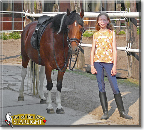 Starlight, the Pet of the Day