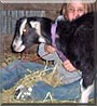 Ted the La Mancha goat