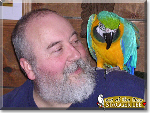 Stagger Lee, the Pet of the Day