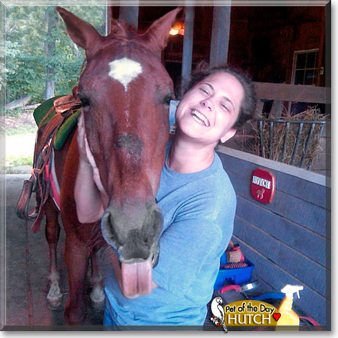 Hutch, the Pet of the Day Hutch, the Pet of the Day