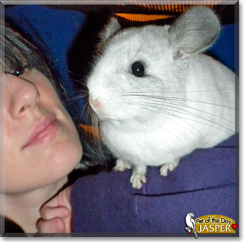 Jasper, the Pet of the Day