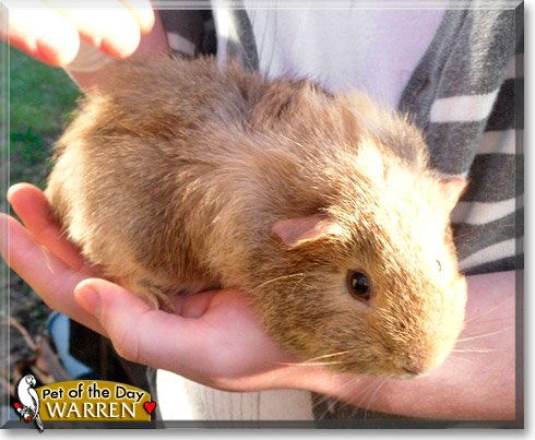 Warren, the Pet of the Day