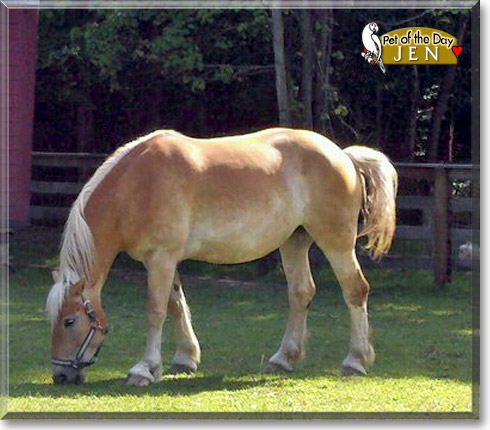 Jen, the Pet of the Day Jen, the Pet of the Day