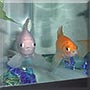 Snowy, Winter the Goldfish