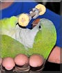 Puffers the Quaker Parrot