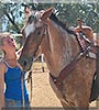 Trygger the Appaloosa