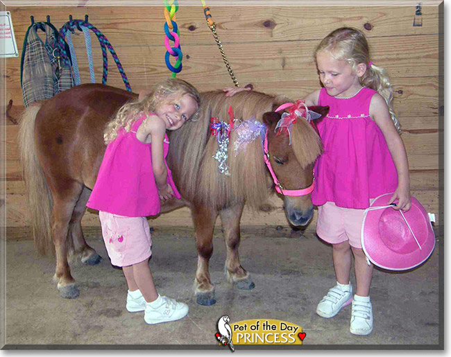 Princess, the Pet of the Day Princess, the Pet of the Day