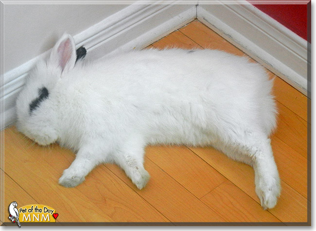 MnM, the Pet of the Day MnM, the Pet of the Day
