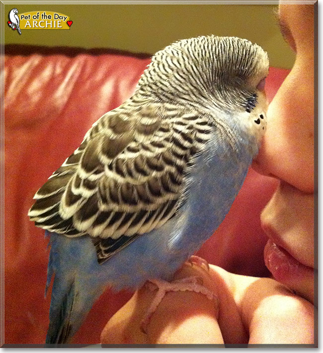 Archie, the Pet of the Day Archie, the Pet of the Day