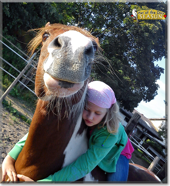 Seasun, the Pet of the Day Seasun, the Pet of the Day