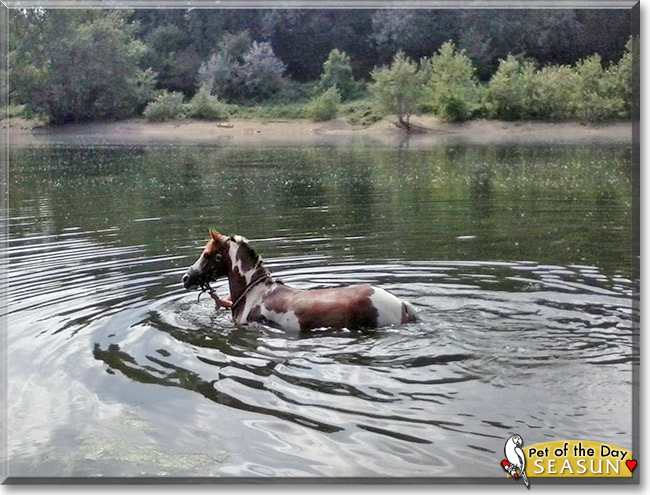 Seasun, the Pet of the Day Seasun, the Pet of the Day