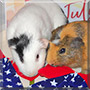 Roy, Ray the Guinea Pig