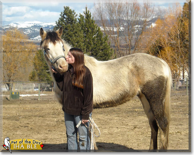 Iha Ble, the Pet of the Day Iha Ble, the Pet of the Day
