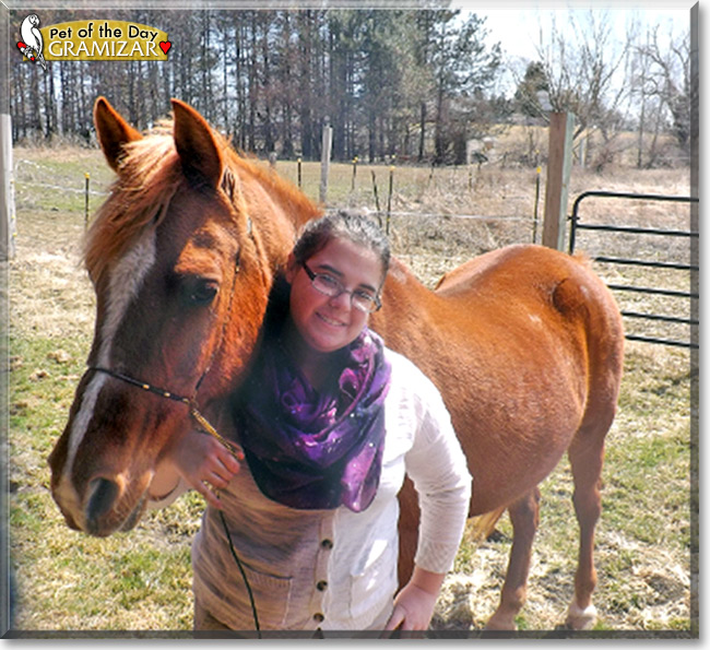Gramizar, the Pet of the Day Gramizar, the Pet of the Day