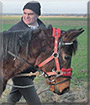 Sina the Pony