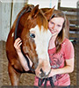 Dream the Horse