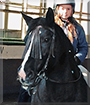 Gipsie the Cross-bred Horse