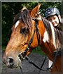 Lucy the Horse