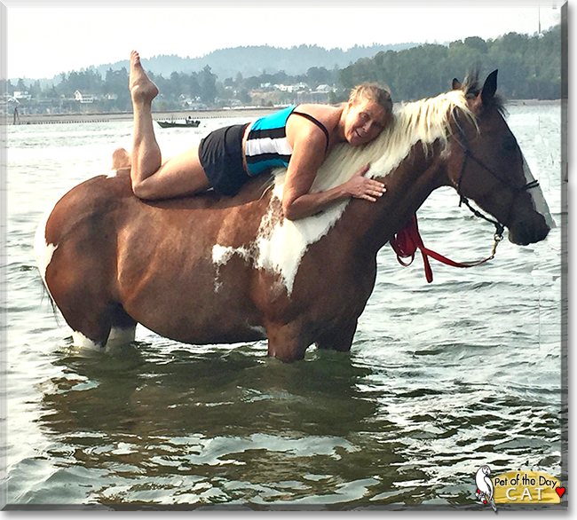 Cat the Quarter Horse, the Pet of the Day