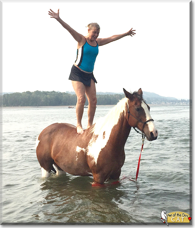 Cat the Quarter Horse, the Pet of the Day