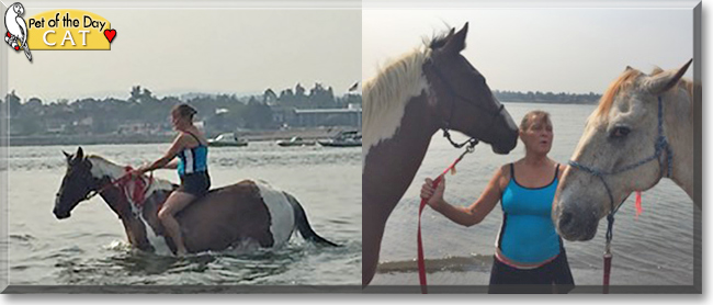 Cat the Quarter Horse, the Pet of the Day