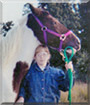 Prissy the Paint Horse